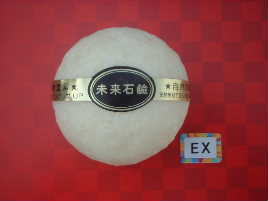 �����Ό�EX�̐����y�[�W��