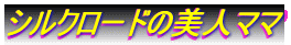 VN[h̔l}}
